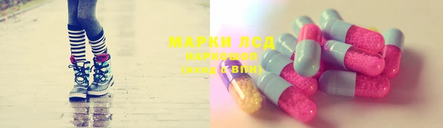 кокс Алзамай