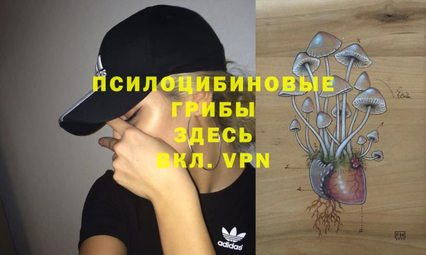 COCAINE Алексеевка