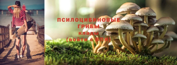 кокс Алзамай