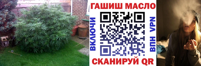 цены наркотик  Сясьстрой  Дистиллят ТГК жижа 