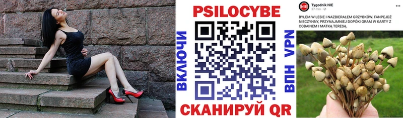 Галлюциногенные грибы ЛСД  Сясьстрой 