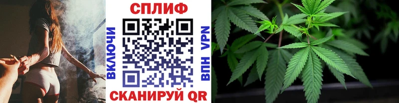 Бошки марихуана семена  Сясьстрой 